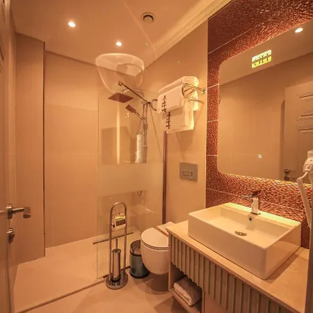 Отель Goerguelue Merkezkoy